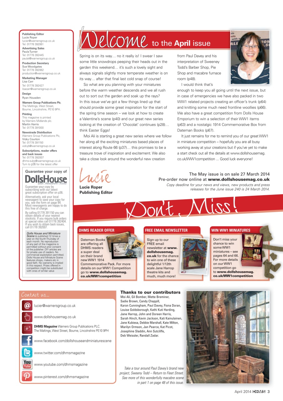 Dolls House and Miniature Scene Preview Pages