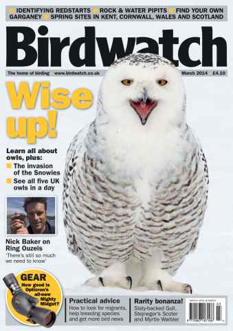 Birdwatch Magazine issue March 2014