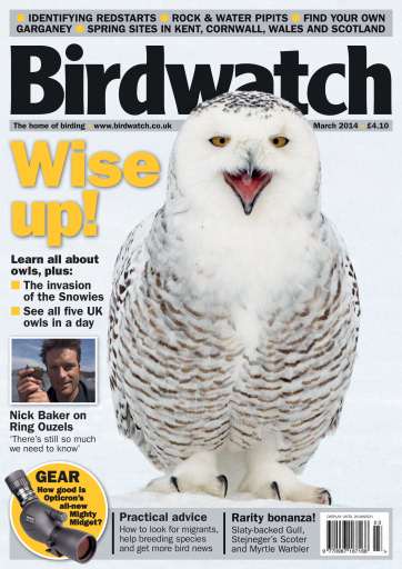 Birdwatch Magazine issue 