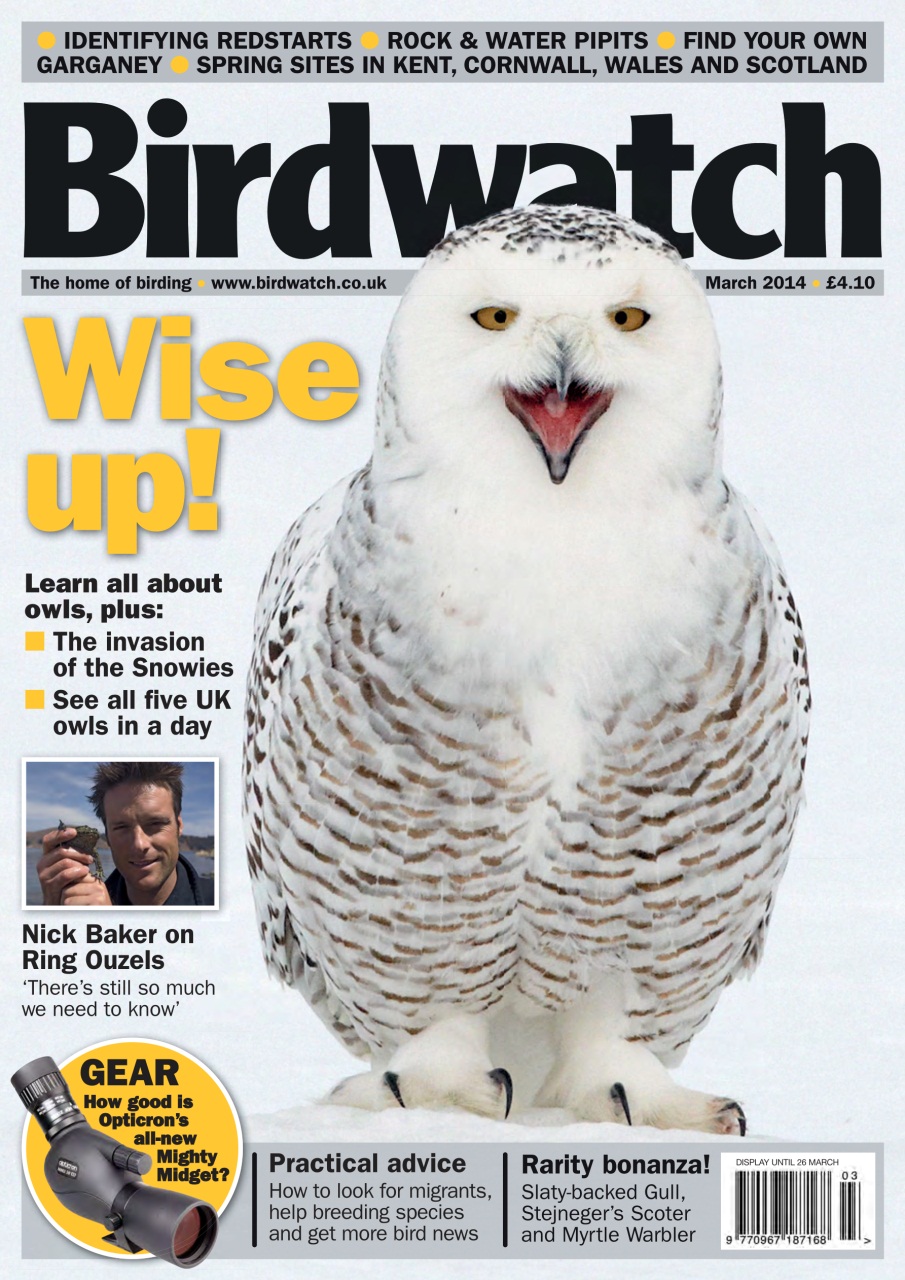 Birdwatch Magazine Preview Pages