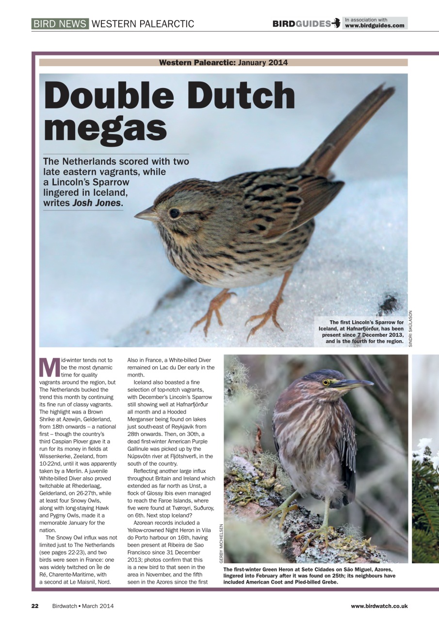 Birdwatch Magazine Preview Pages