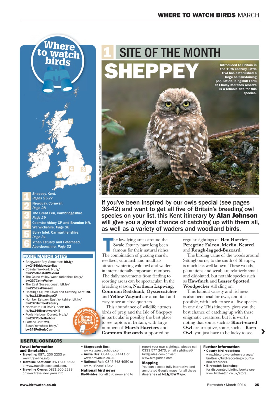Birdwatch Magazine Preview Pages