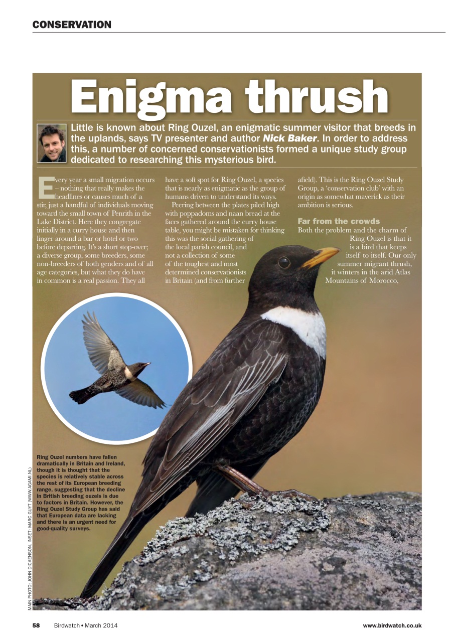 Birdwatch Magazine Preview Pages
