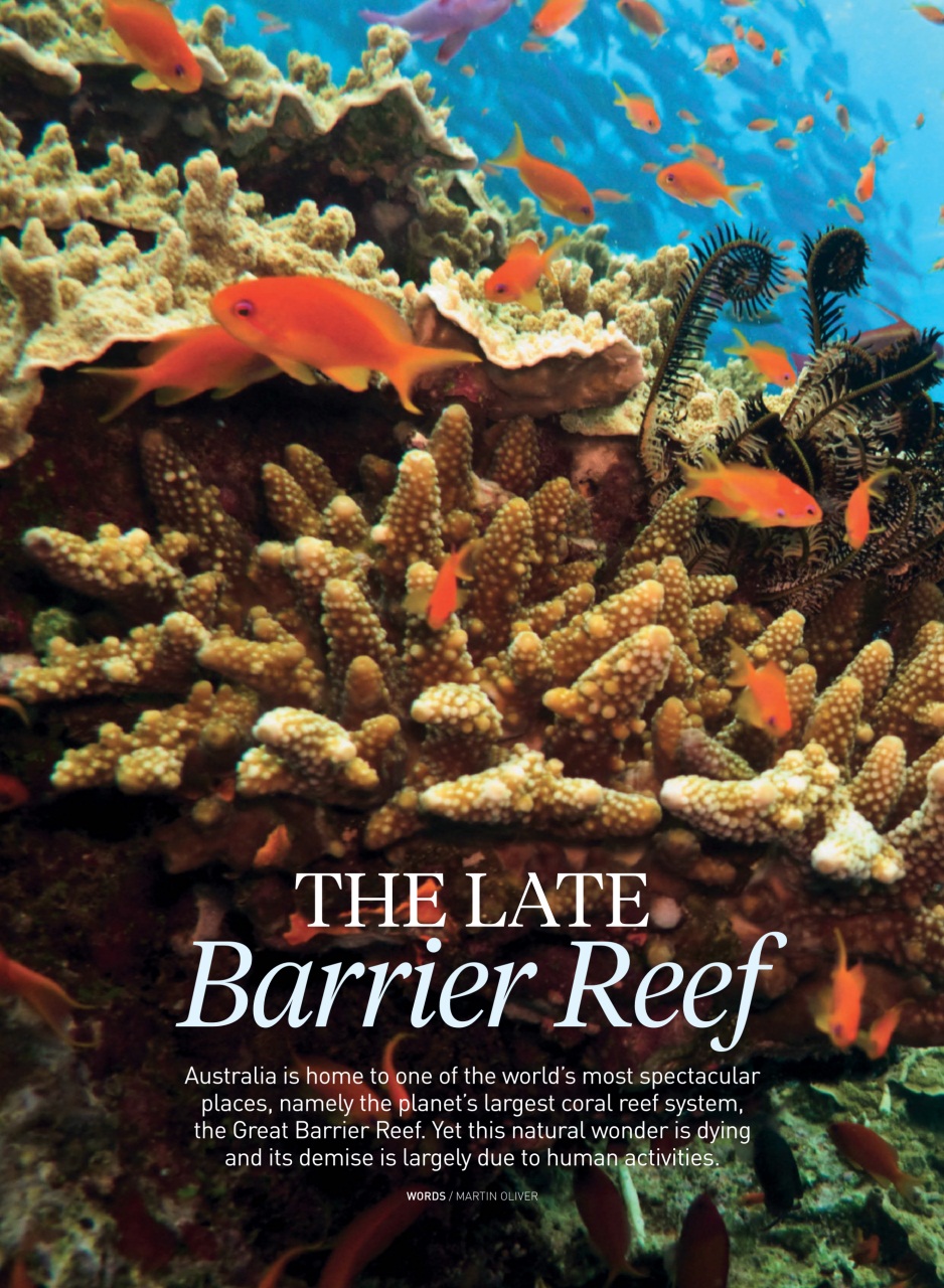 WellBeing Preview Pages