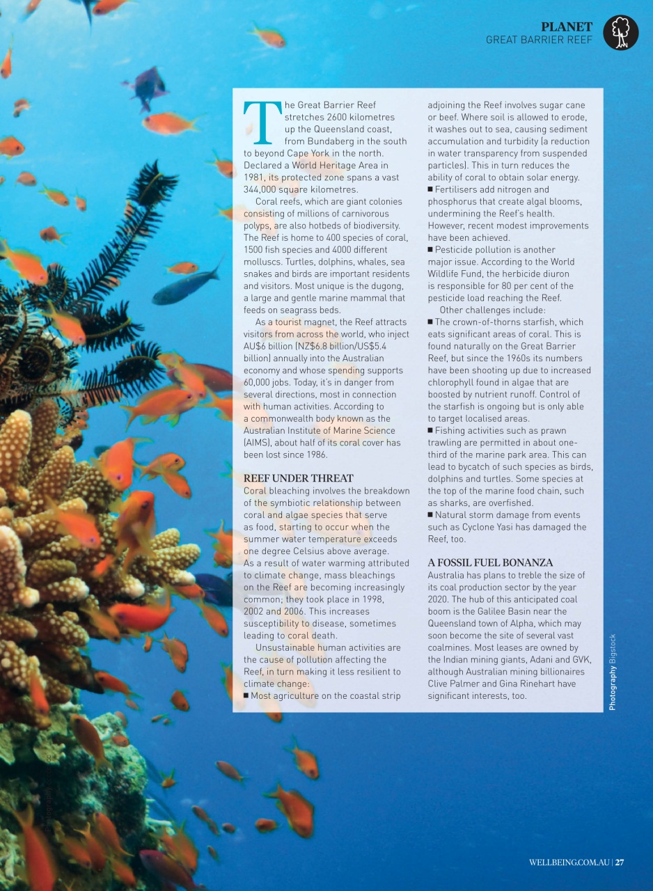 WellBeing Preview Pages