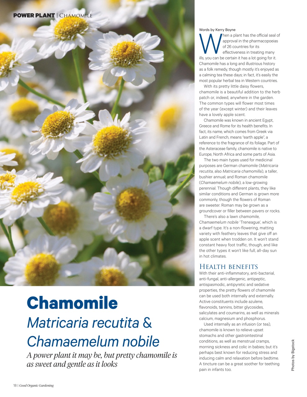 Good Organic Gardening Preview Pages