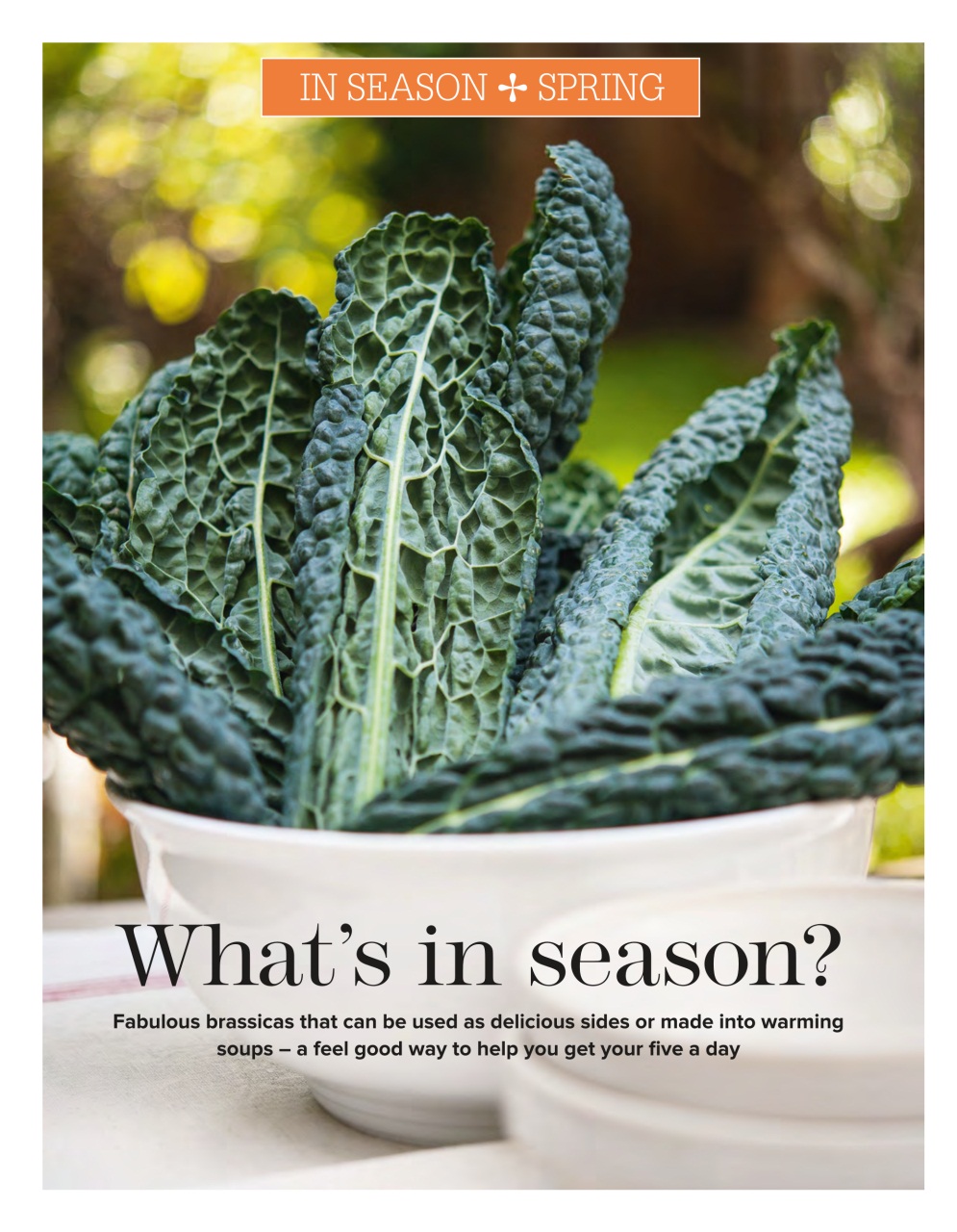 Woman & Home Feel Good Food Preview Pages