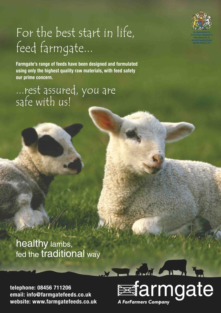 The Smallholder Preview Pages