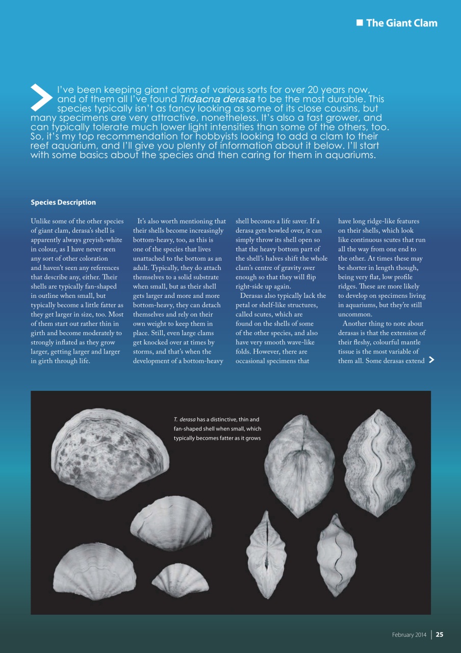 UltraMarine Magazine Preview Pages