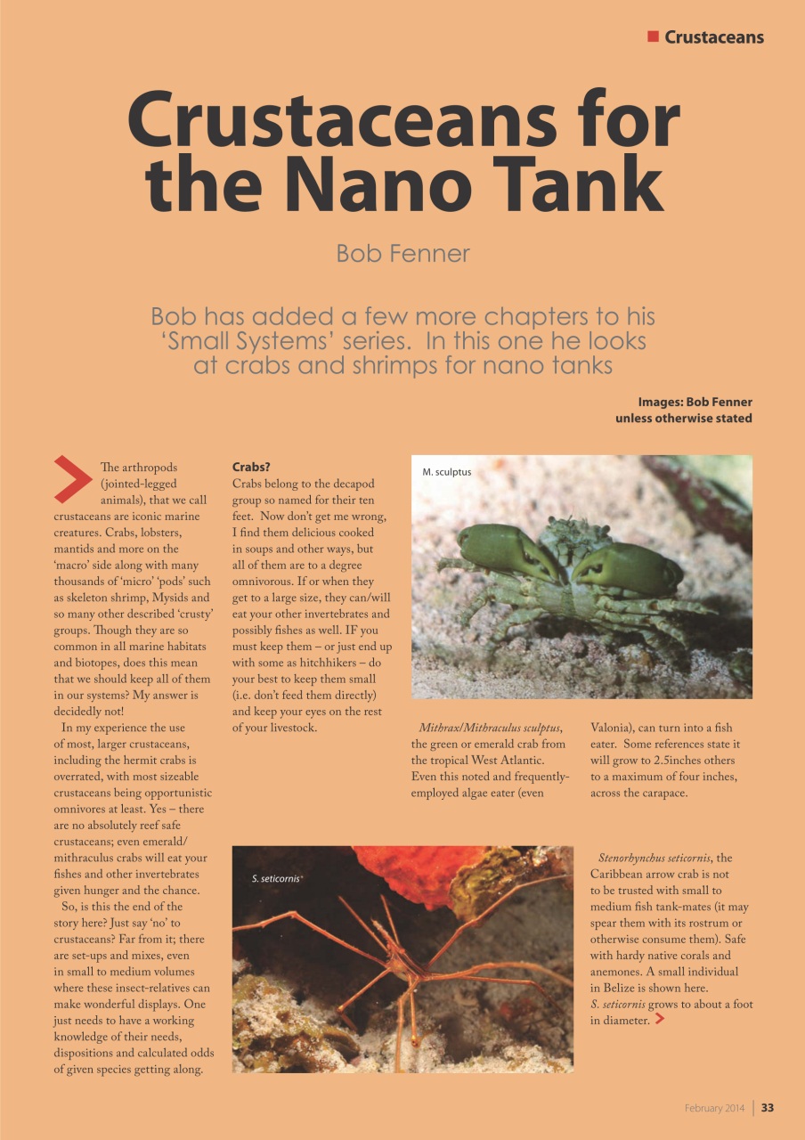 UltraMarine Magazine Preview Pages