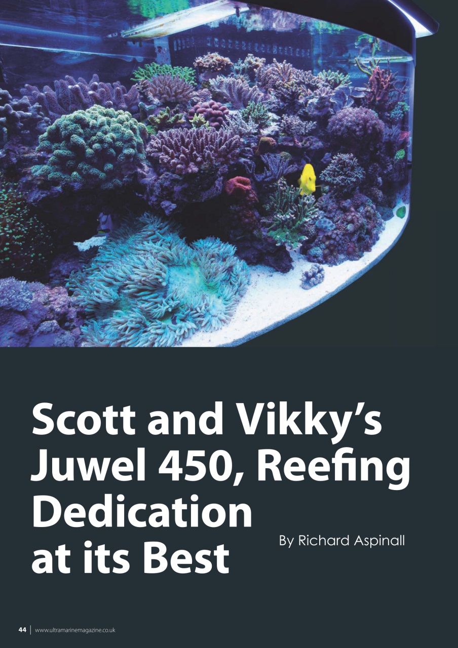 UltraMarine Magazine Preview Pages