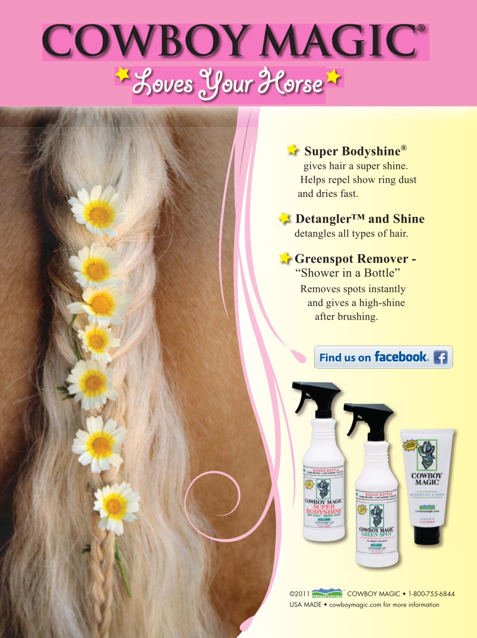 Blaze Magazine For Horse Crazy Kids Preview Pages