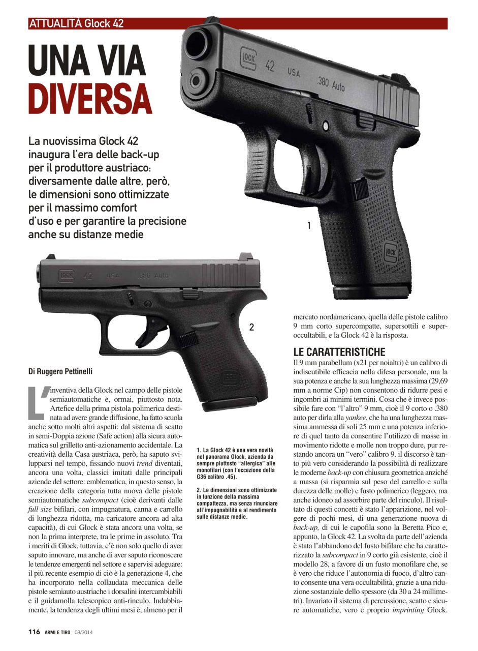 Armi E Tiro Preview Pages