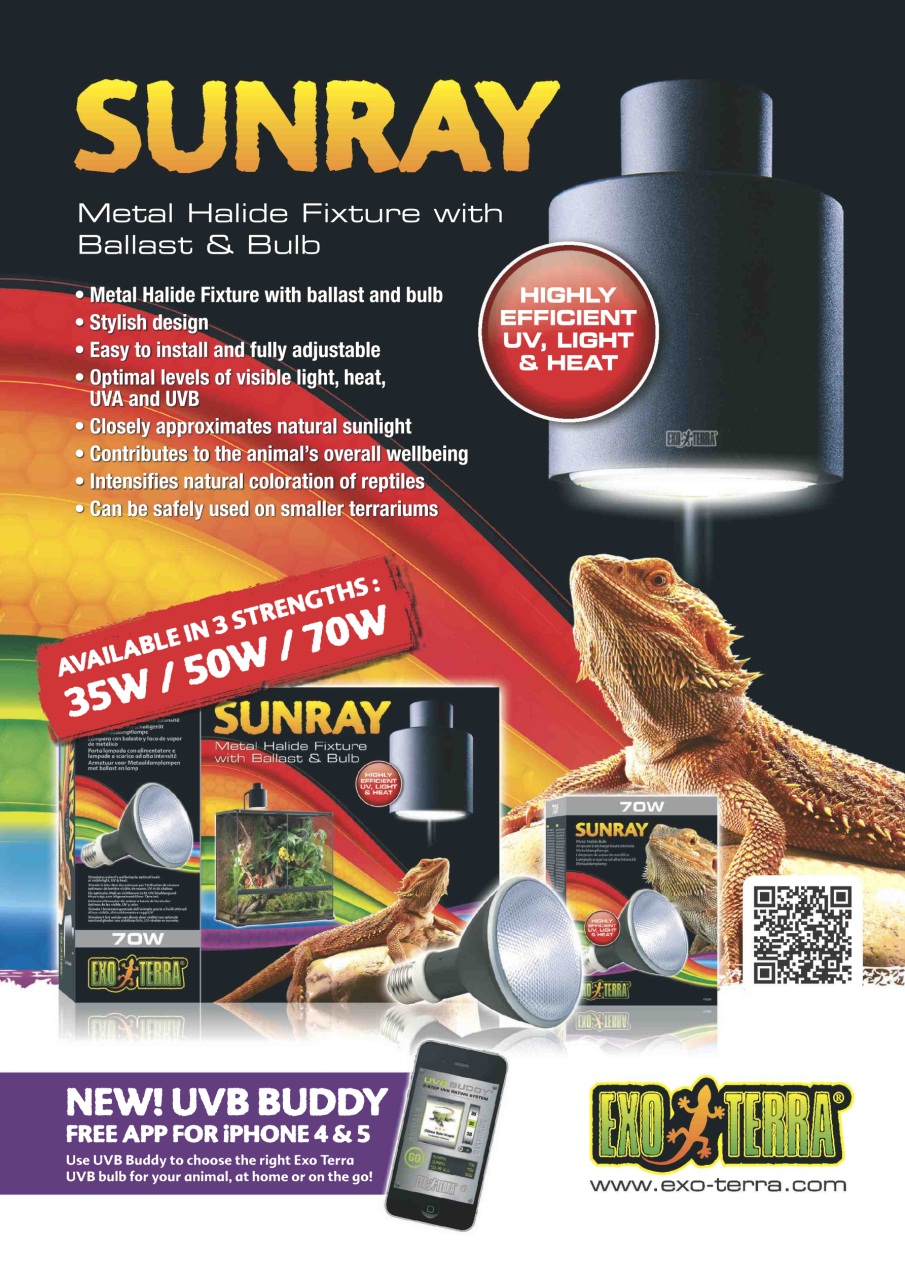 Practical Reptile Keeping Preview Pages