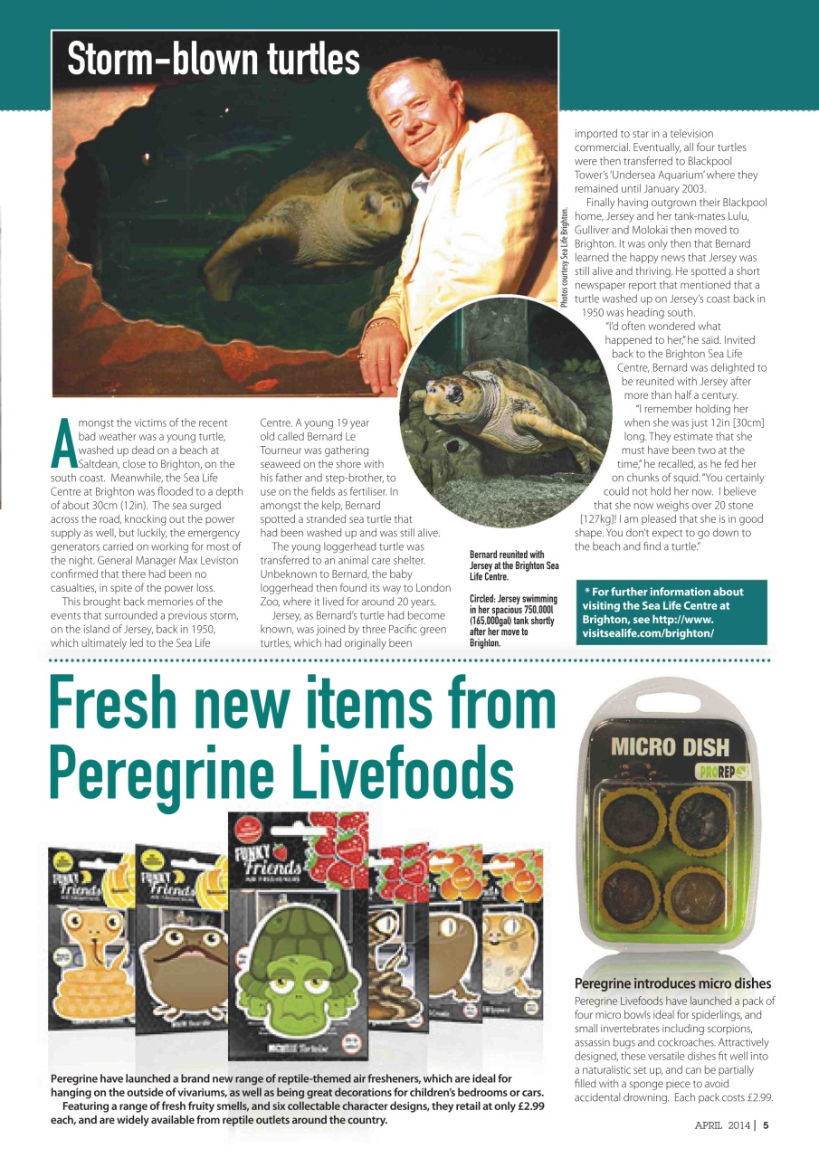 Practical Reptile Keeping Preview Pages