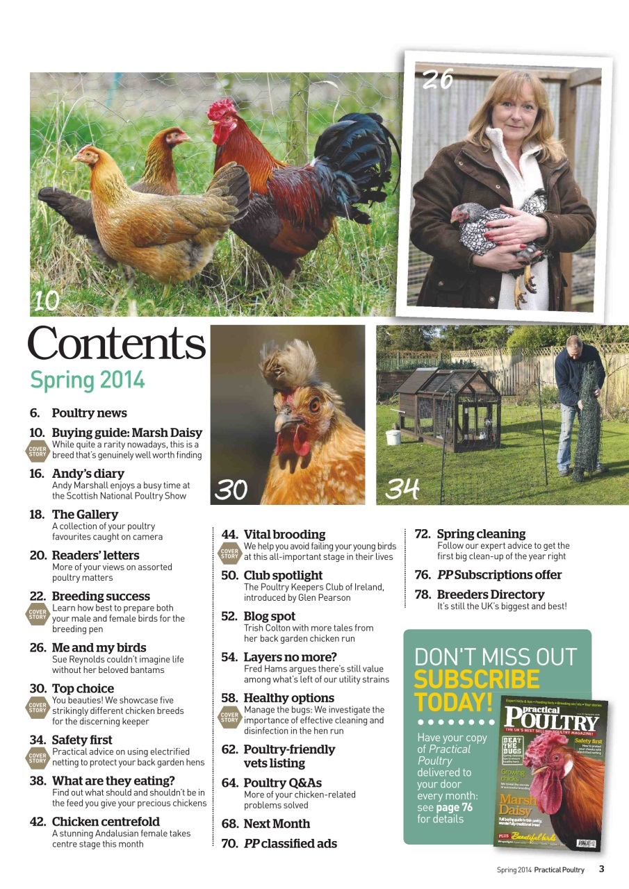 Practical Poultry Preview Pages