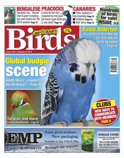 Cage Aviary Birds Magazine Global Budgie Scene Back Issue