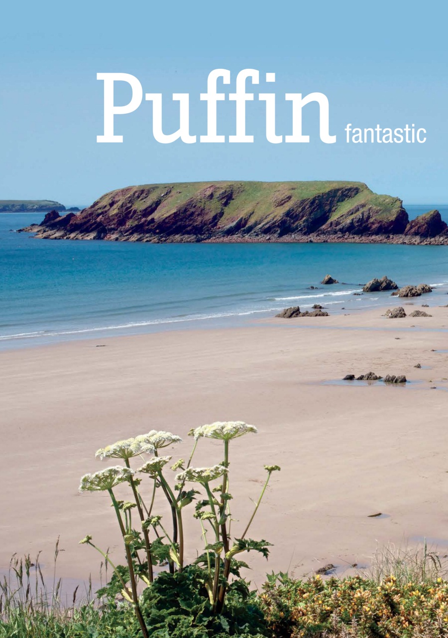 MMM magazine Preview Pages