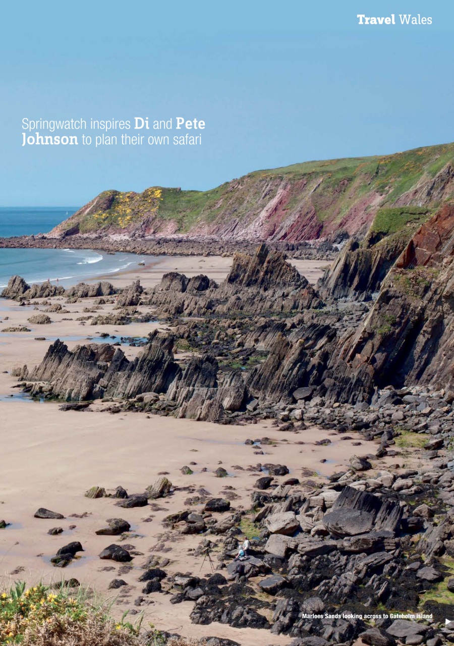 MMM magazine Preview Pages