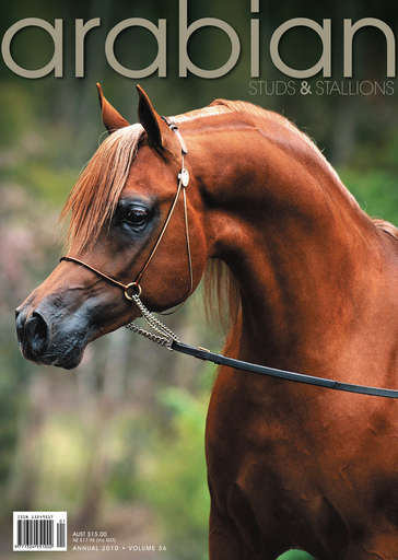 Arabian Studs & Stallions issue 