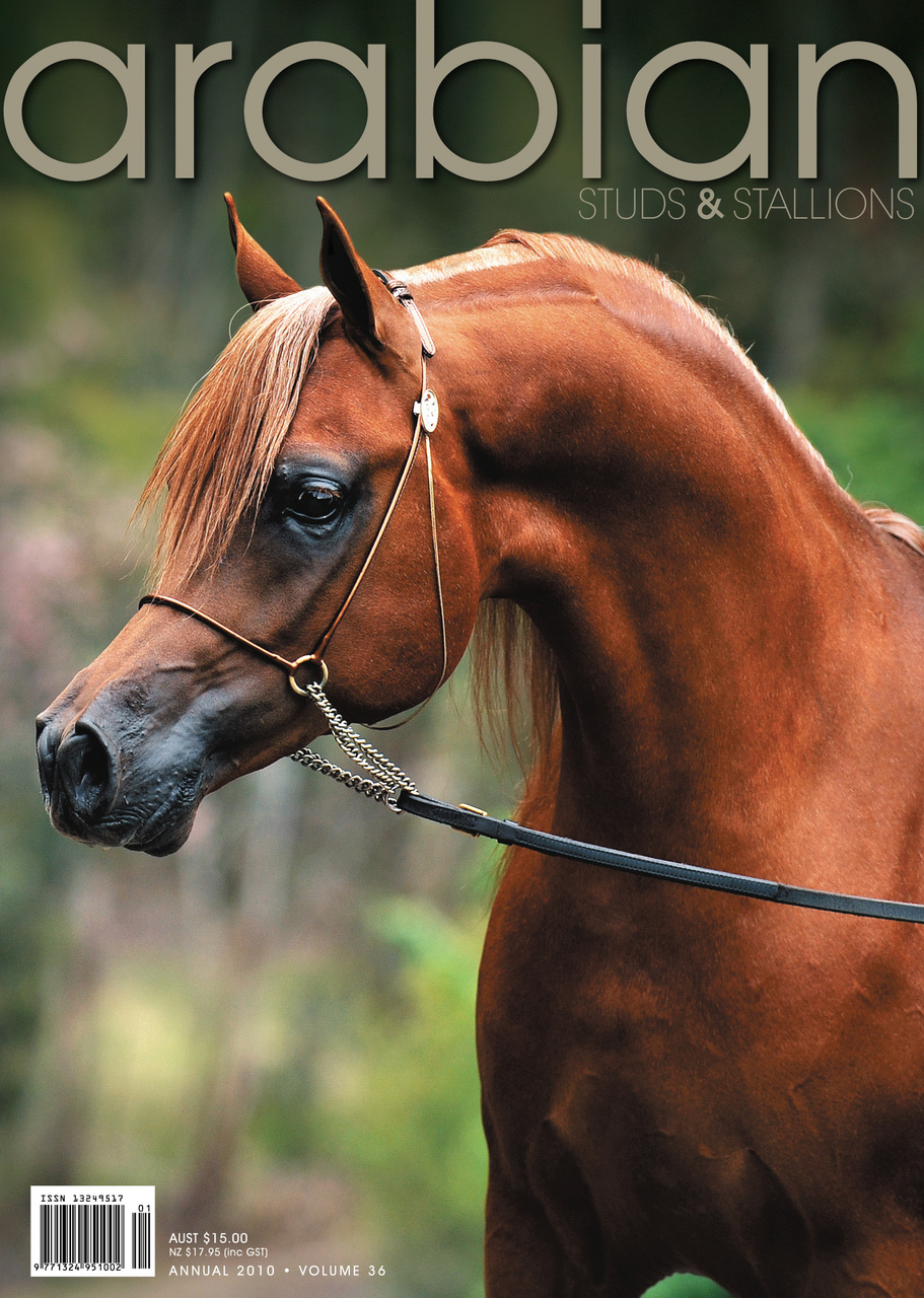 Arabian Studs & Stallions Preview Pages