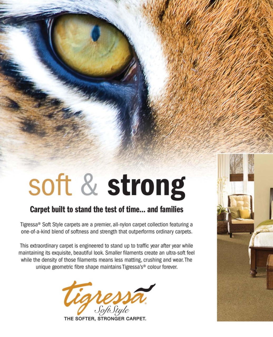 Canadian Home Trends Preview Pages