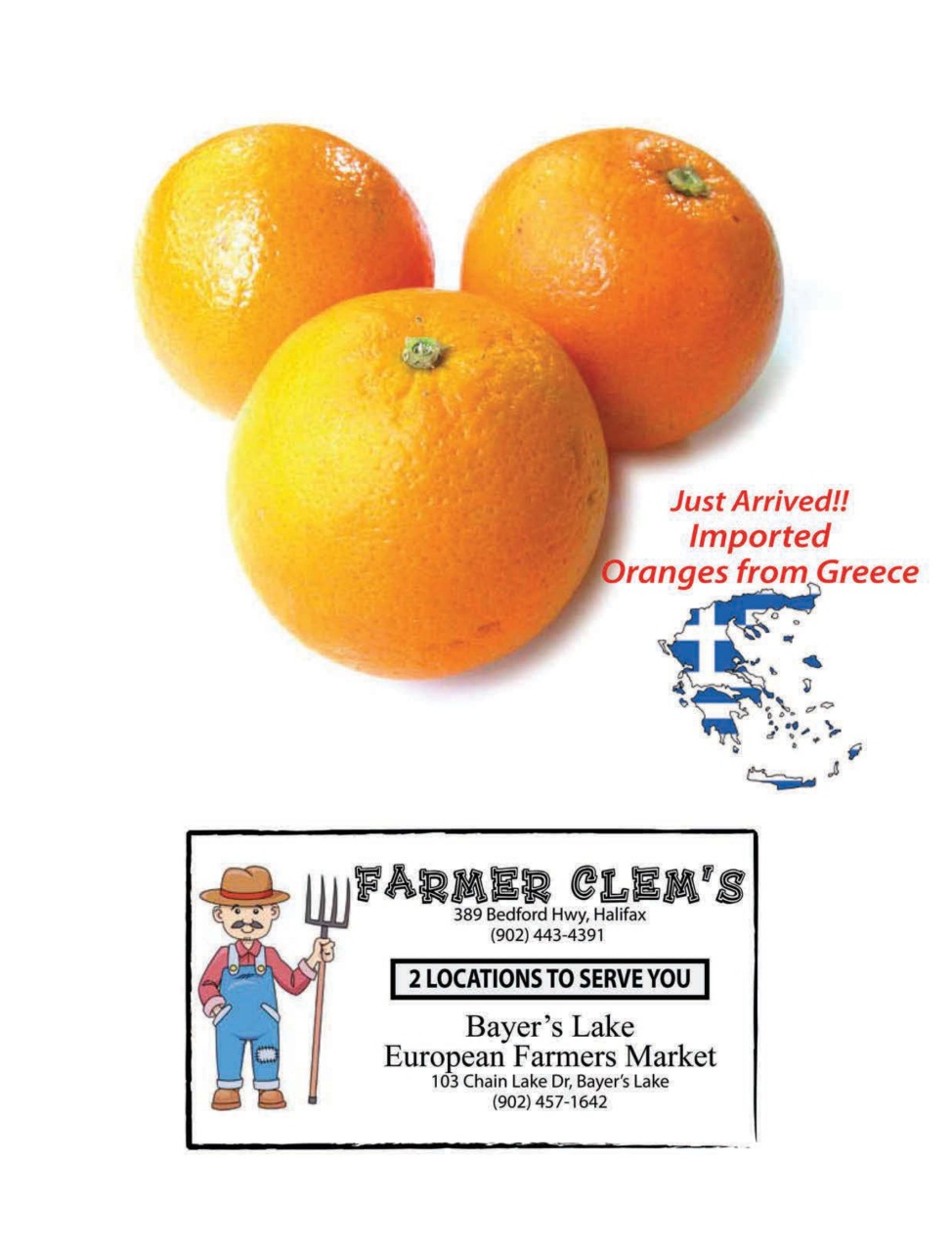 Halifax Magazine Preview Pages