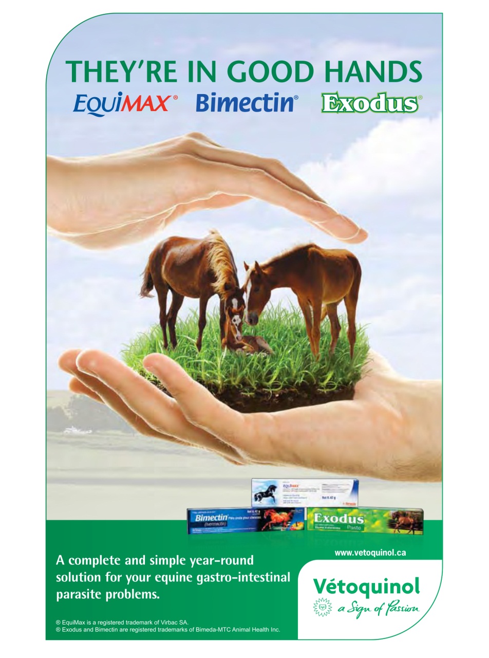 Western Horse Review Preview Pages