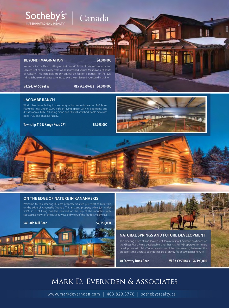 Western Horse Review Preview Pages