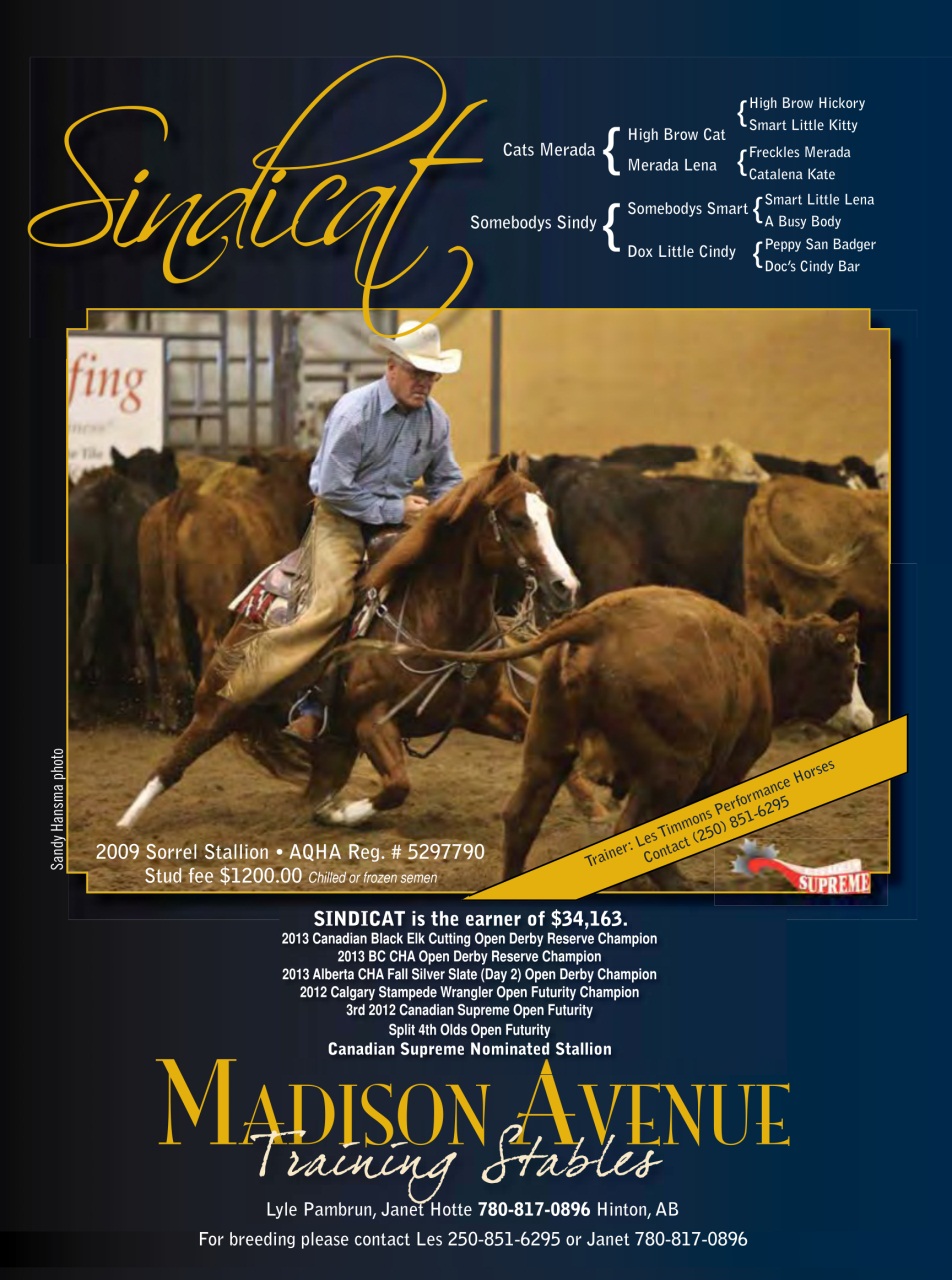 Western Horse Review Preview Pages