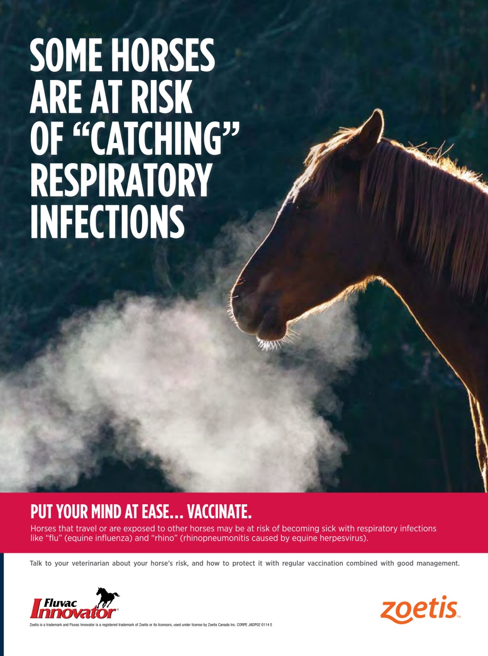 Western Horse Review Preview Pages