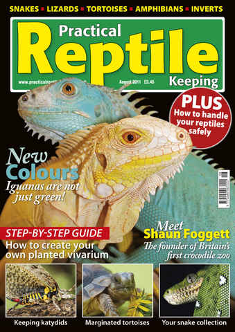 Practical Reptile Keeping issue No.27 Coloured Iguanas