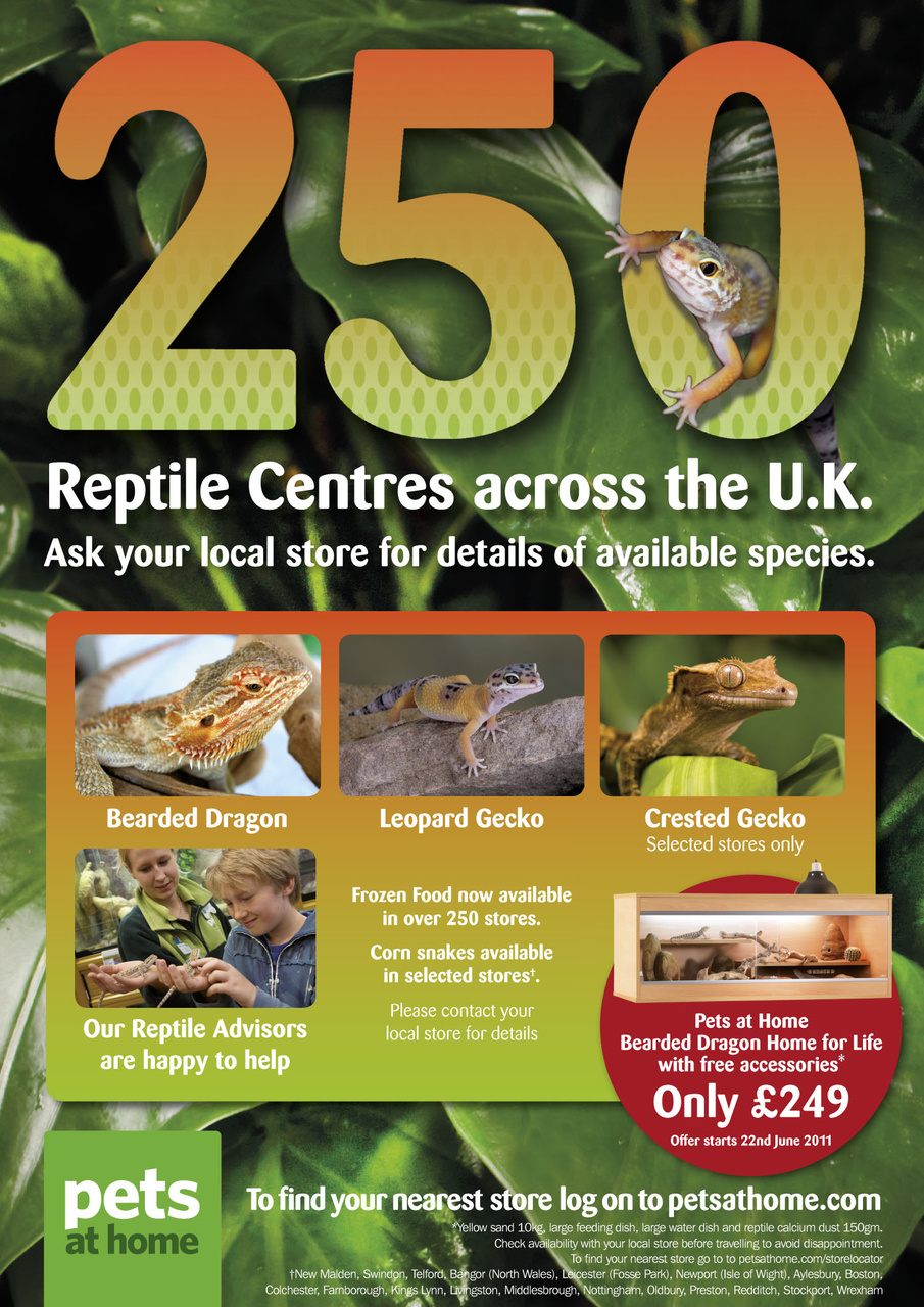Practical Reptile Keeping Preview Pages