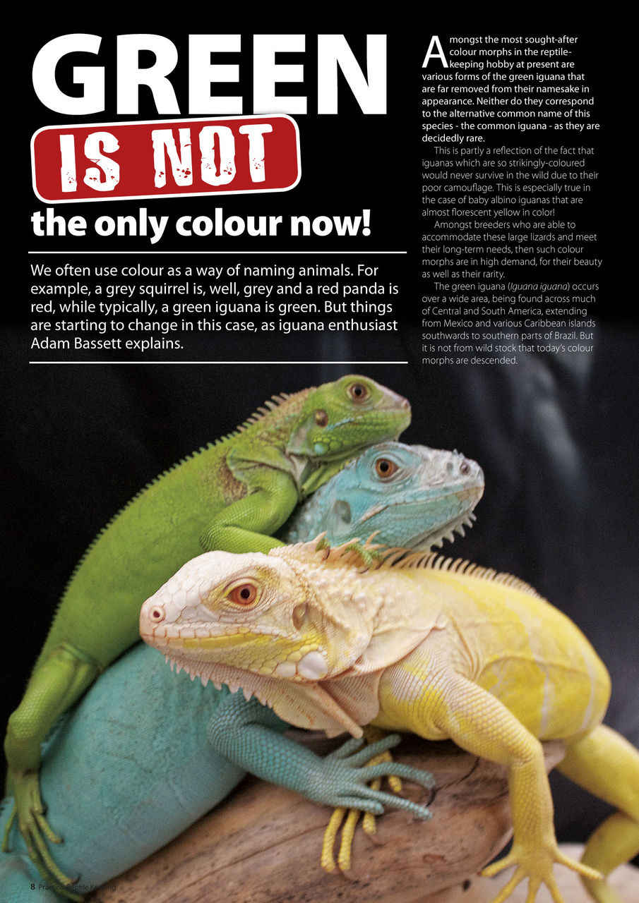 Practical Reptile Keeping Preview Pages