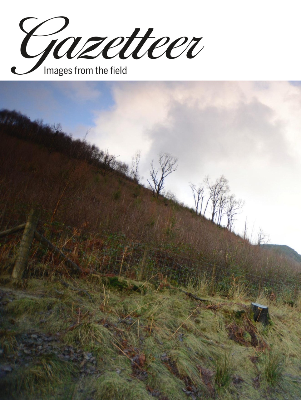 Shooting Gazette Preview Pages