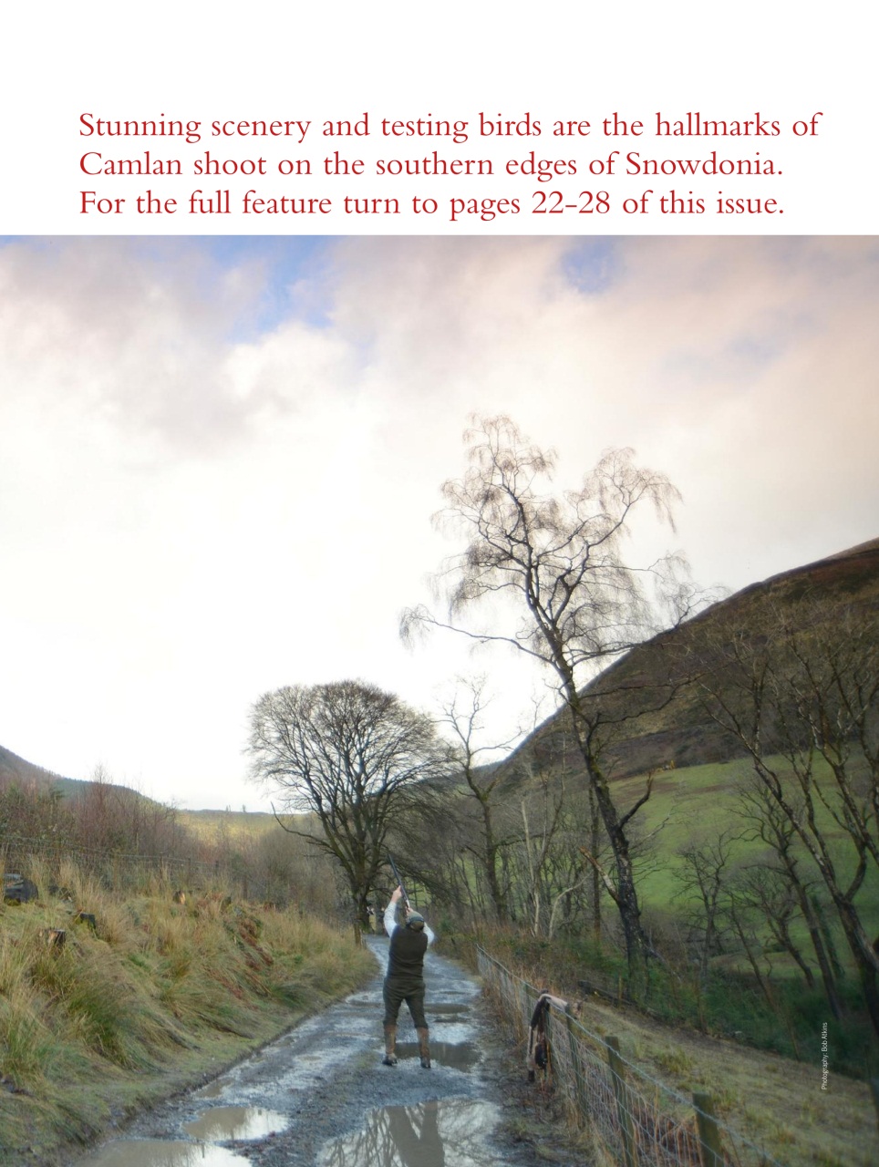 Shooting Gazette Preview Pages