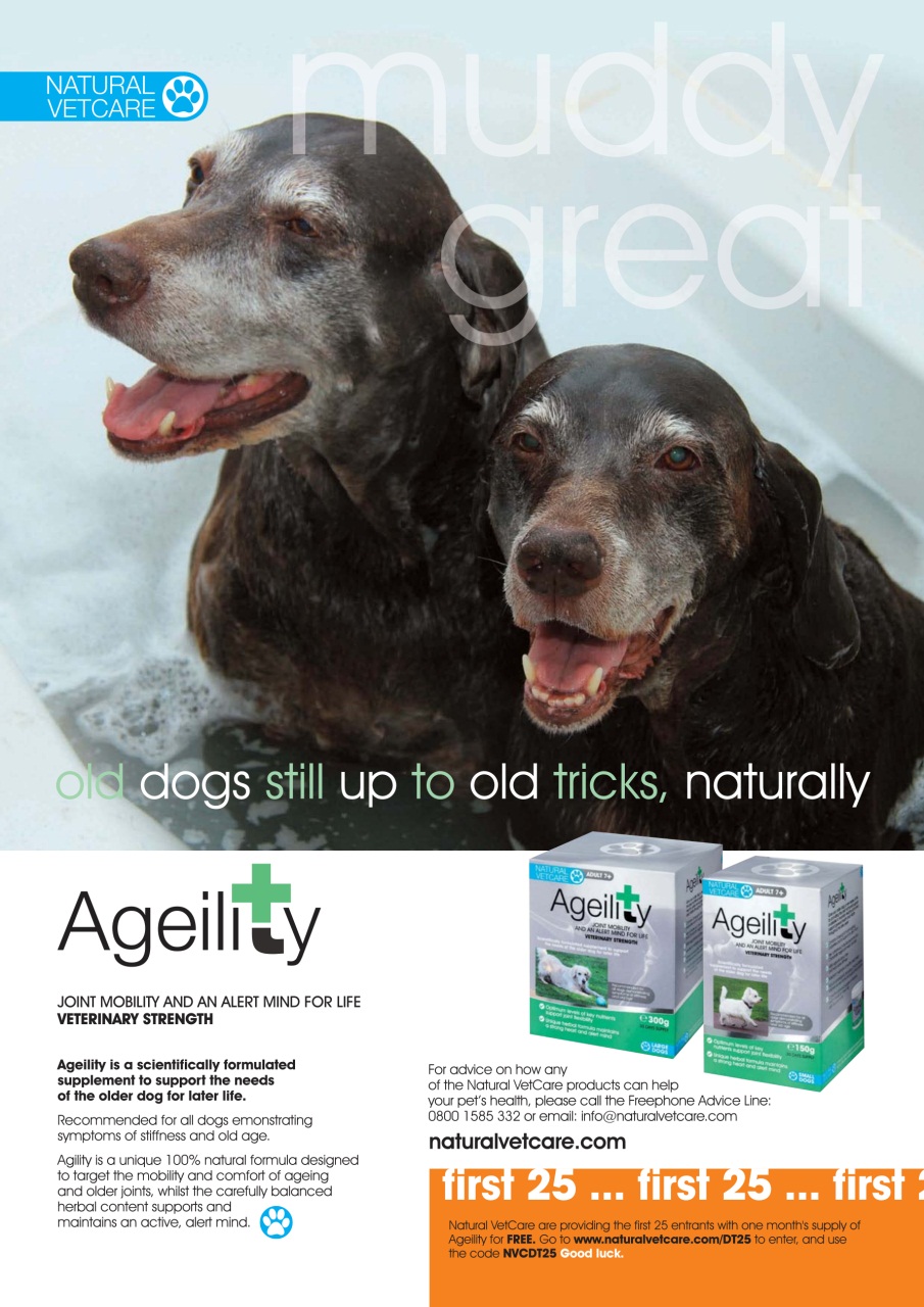 Dogs Today Magazine Preview Pages