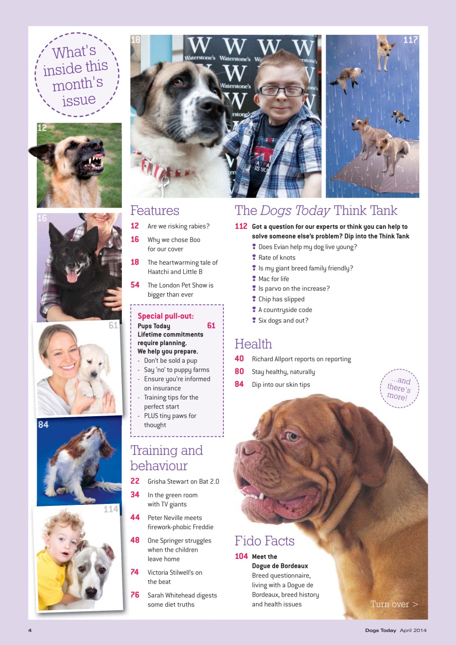 Dogs Today Magazine Preview Pages