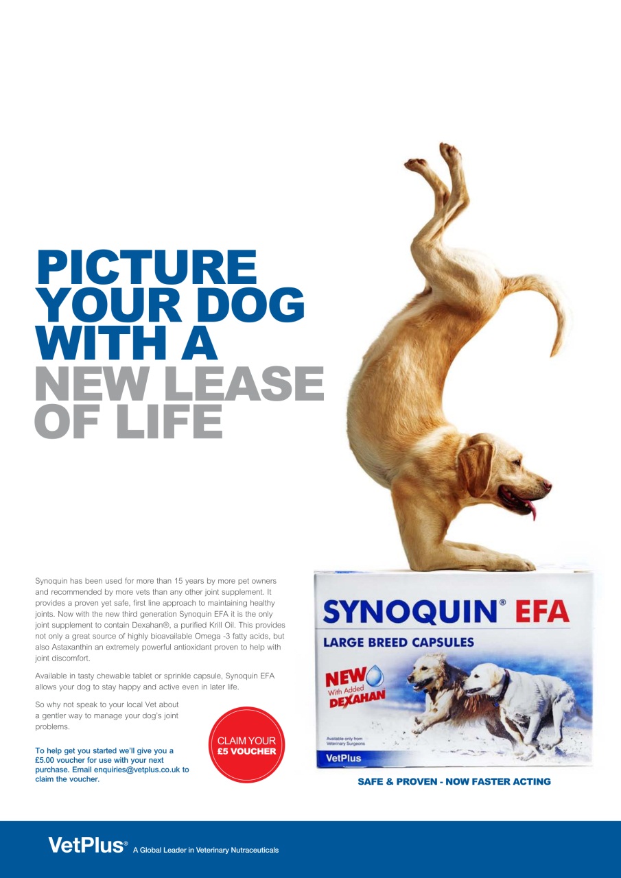 Dogs Today Magazine Preview Pages