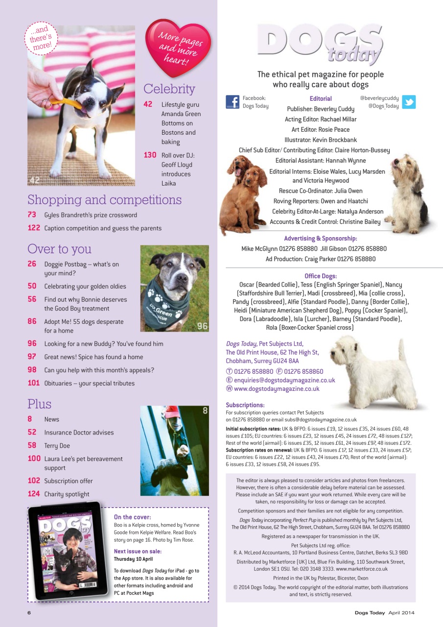 Dogs Today Magazine Preview Pages