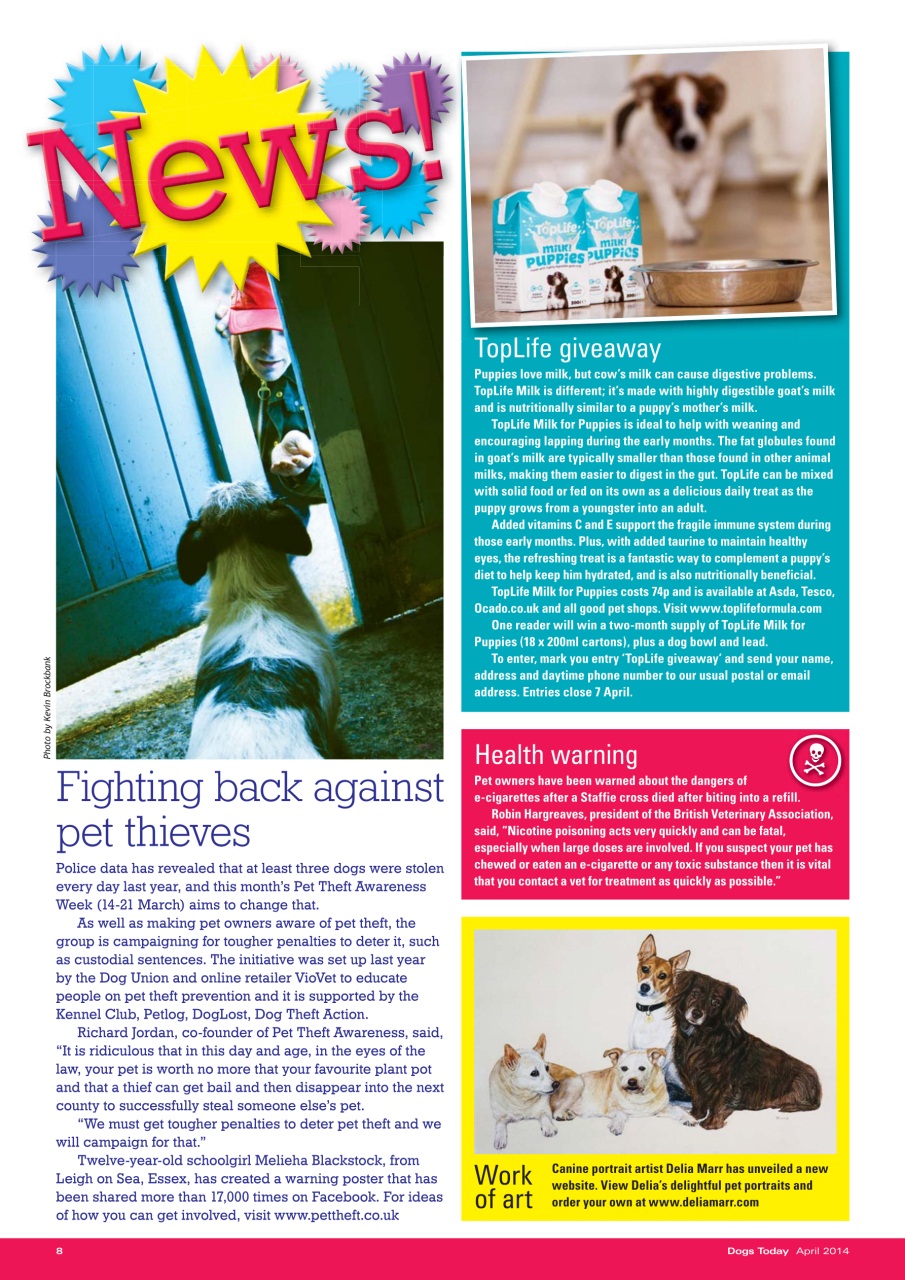 Dogs Today Magazine Preview Pages