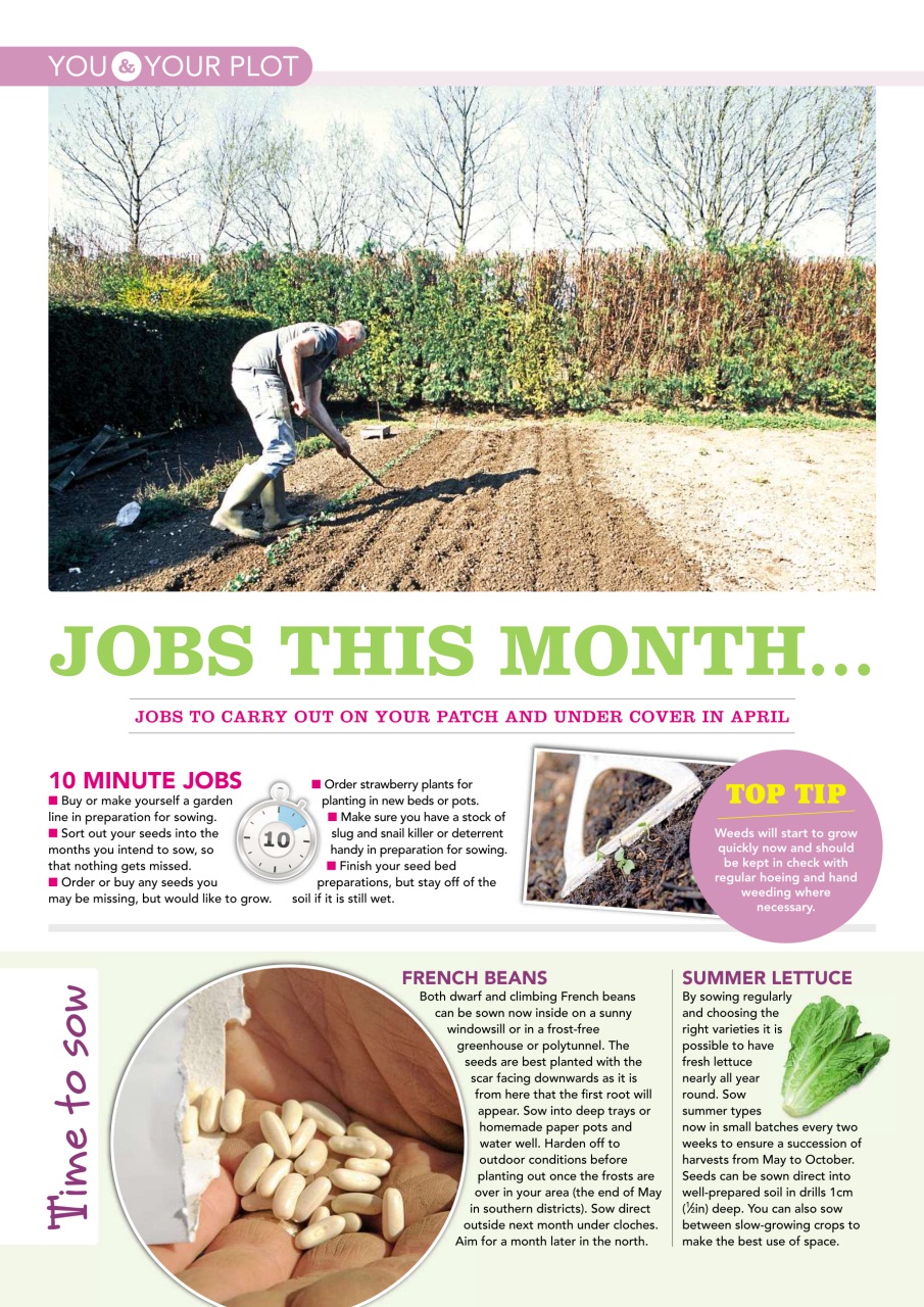 Kitchen Garden Magazine Preview Pages
