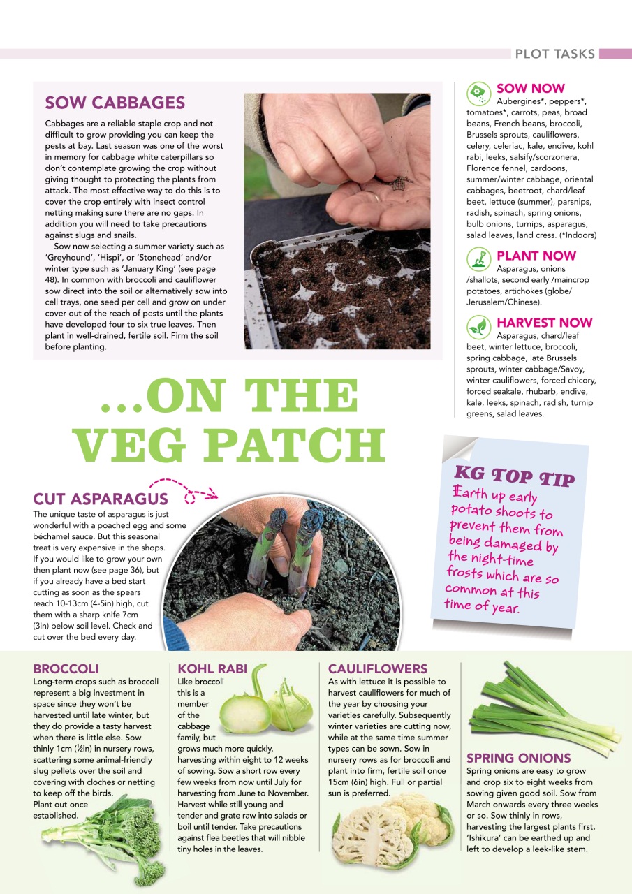 Kitchen Garden Magazine Preview Pages