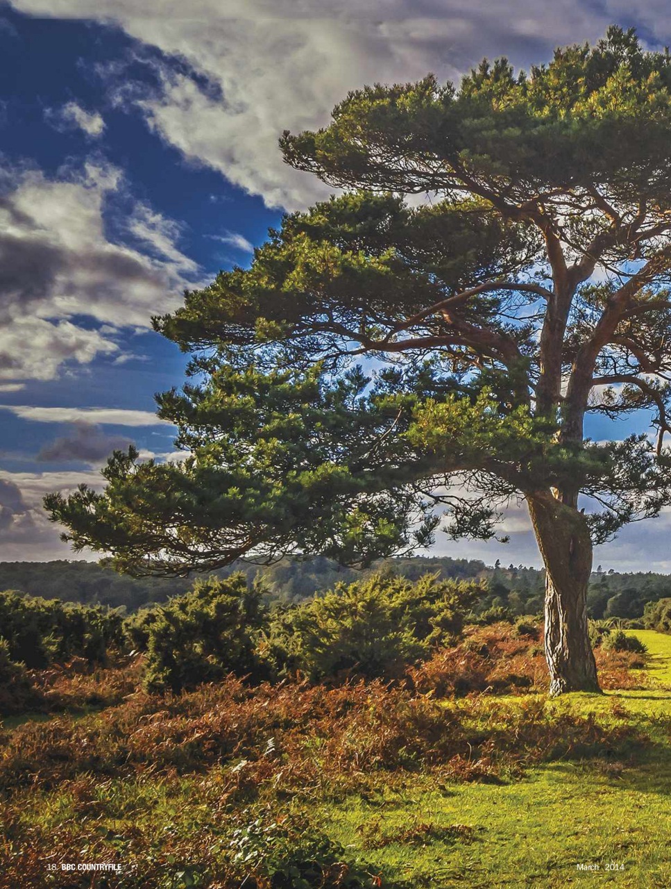 BBC Countryfile Magazine Preview Pages