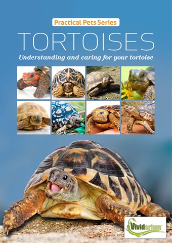 Practical Reptile Keeping issue TORTOISES Understanding and caring for your tortoise