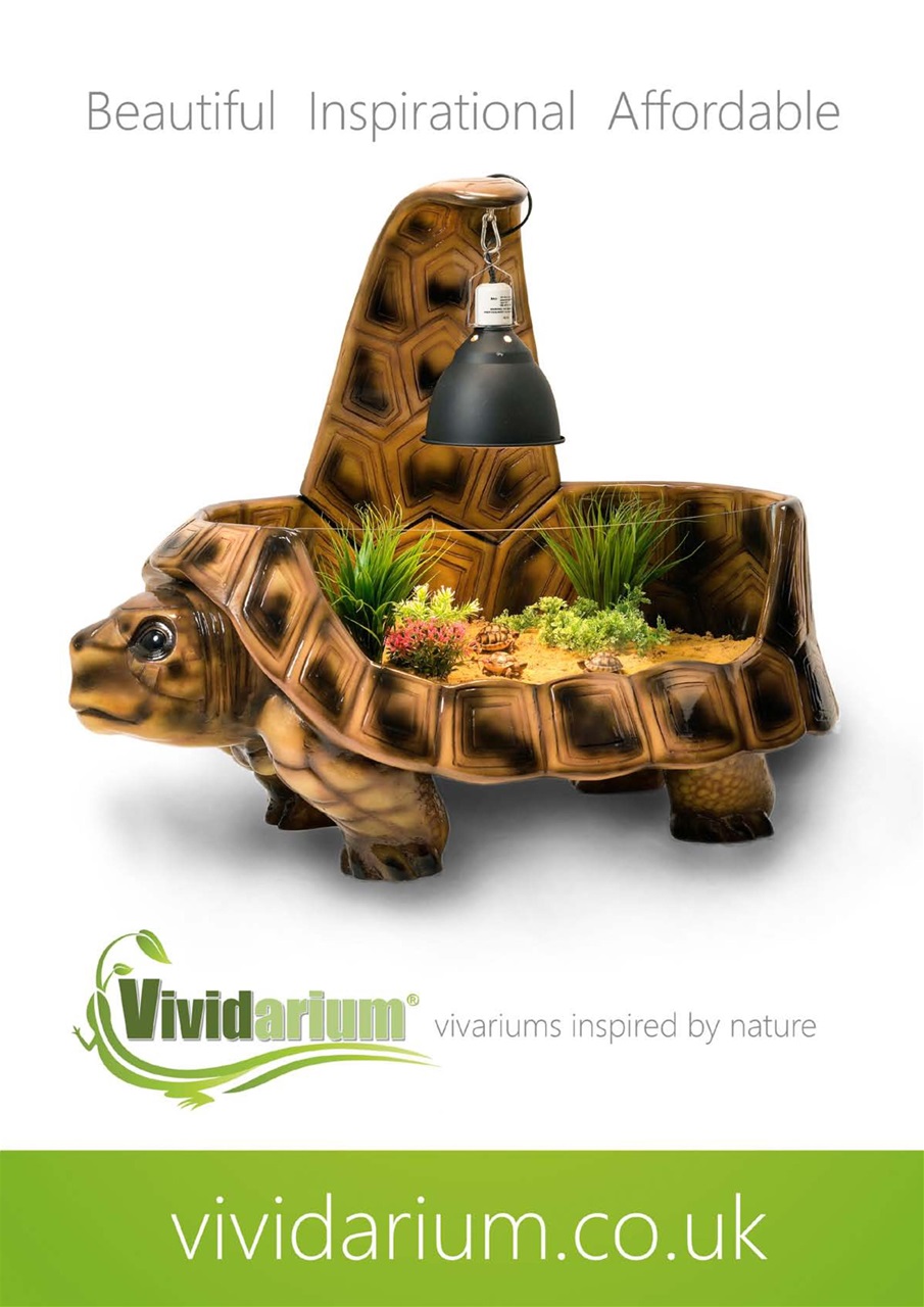 Practical Reptile Keeping Preview Pages