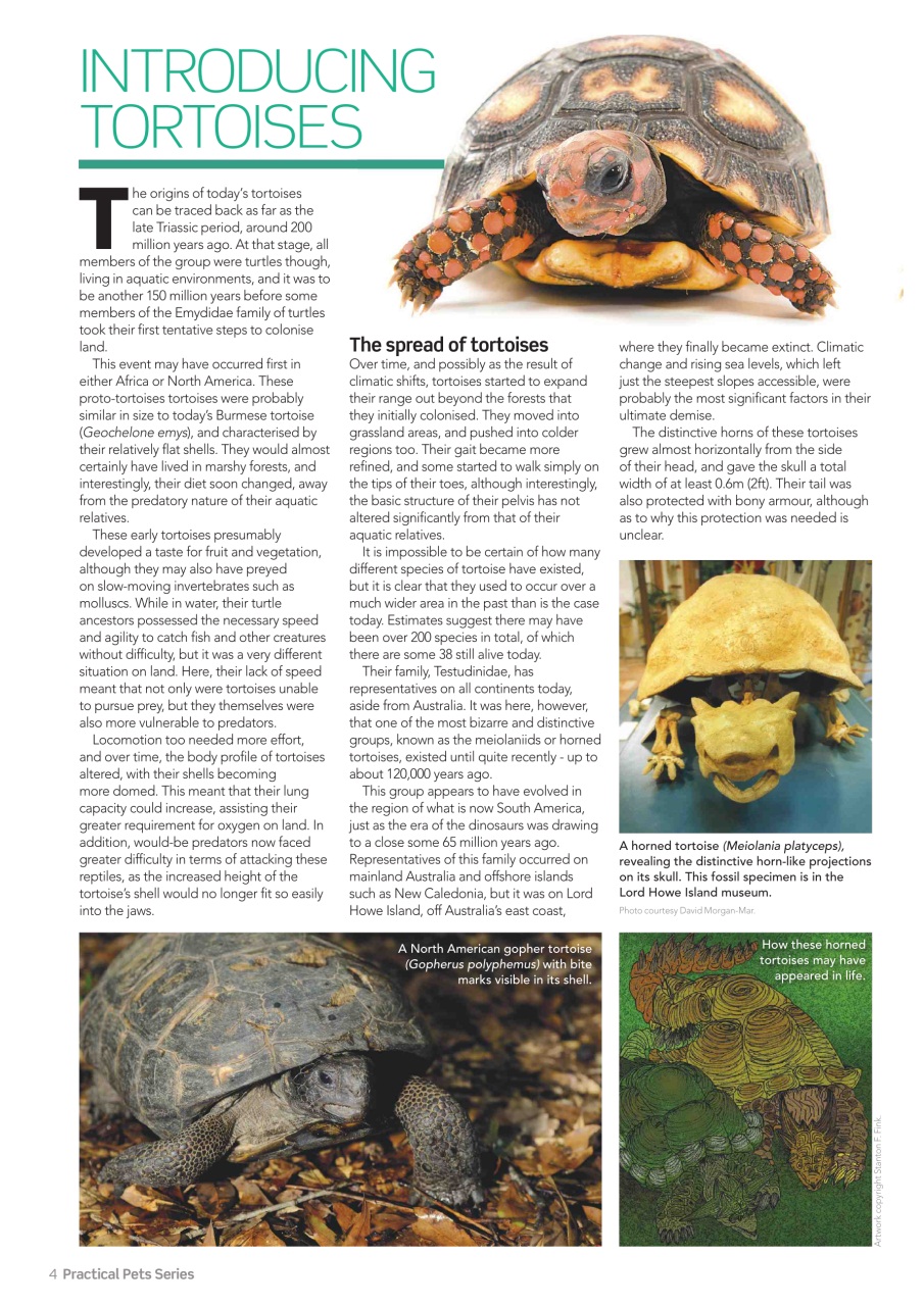 Practical Reptile Keeping Preview Pages