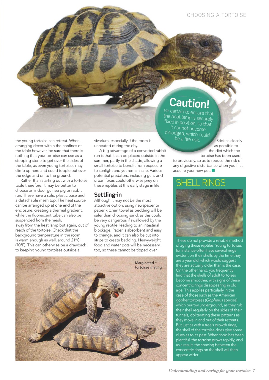 Practical Reptile Keeping Preview Pages
