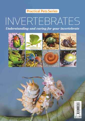Practical Reptile Keeping issue INVERTEBRATES Understanding and caring for your invertebrate