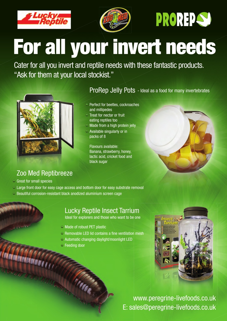 Practical Reptile Keeping Preview Pages